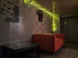 Фотография Кипарис 3