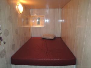 Фотография Кипарис 5
